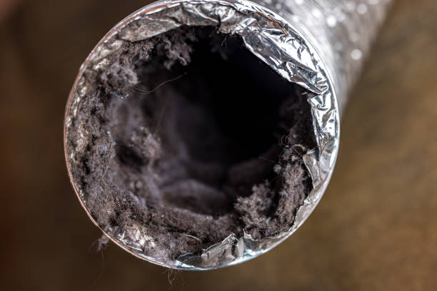 Best Air Duct Cleaning Near Me  in St Gabriel, LA